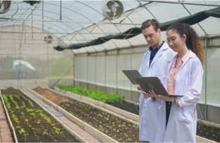 Efficiency consulting for indoor agriculture and farming